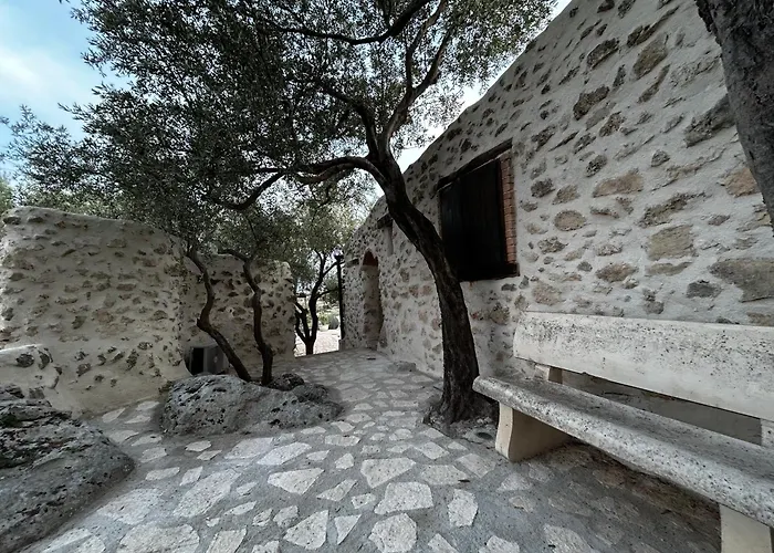 Roba Degli Ulivi