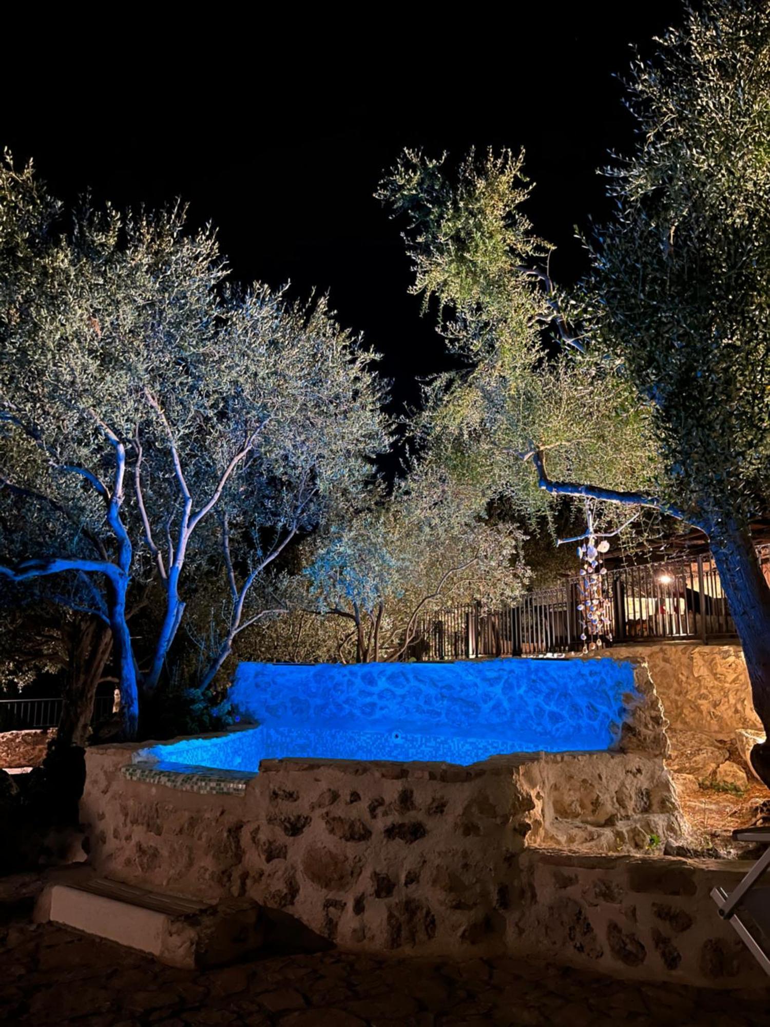 Roba Degli Ulivi