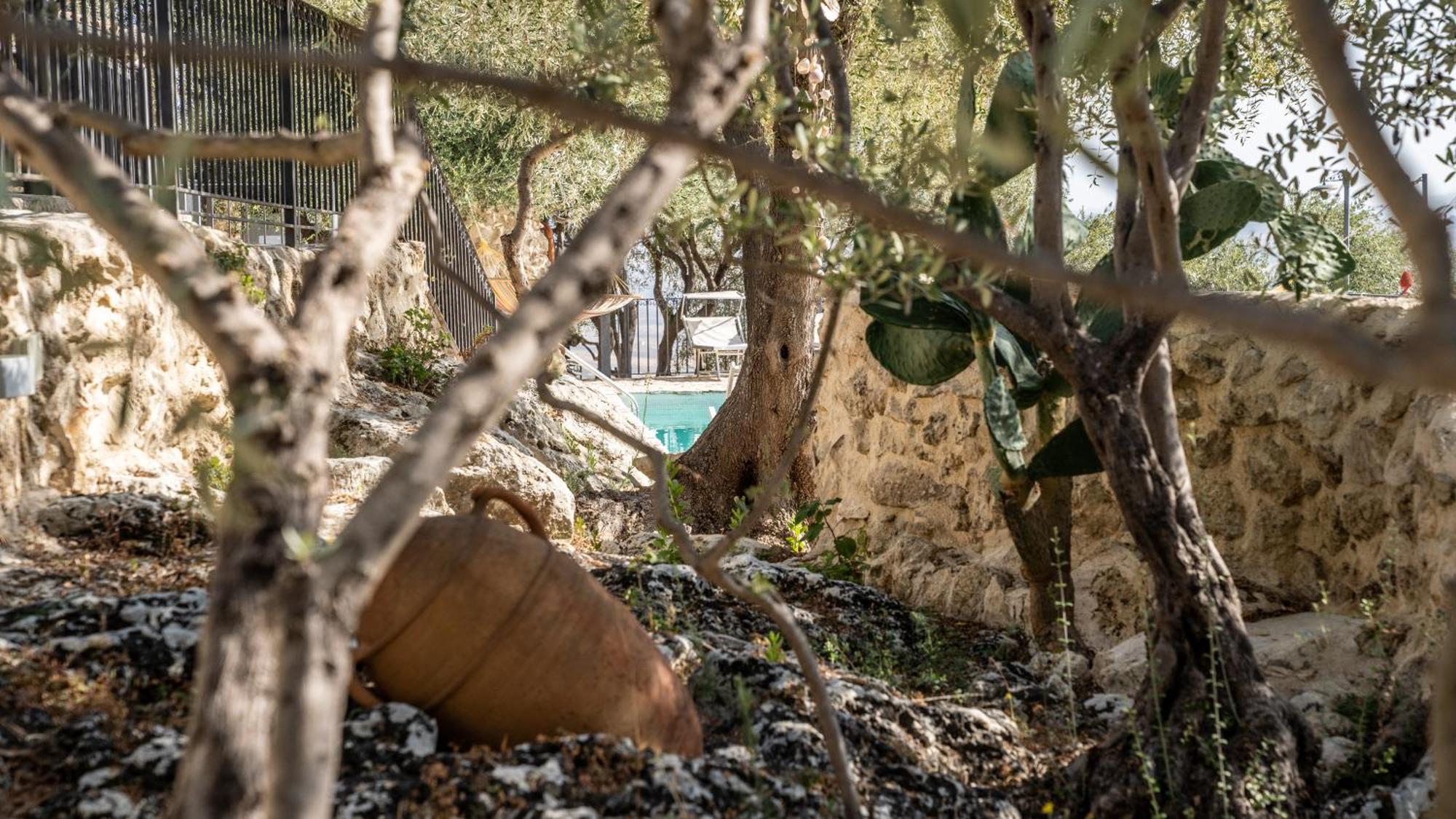 Bed & Breakfast Roba Degli Ulivi