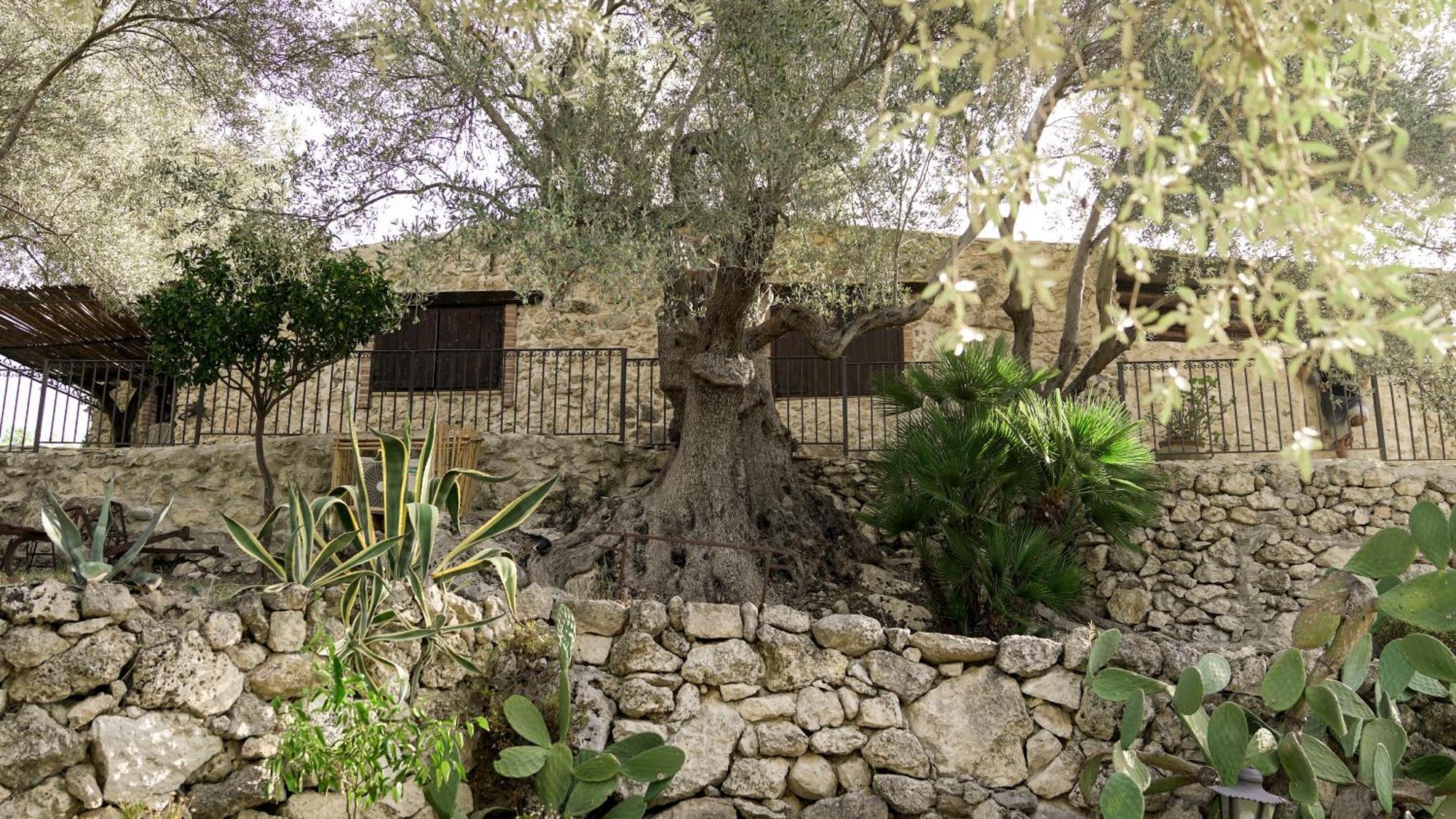 Roba Degli Ulivi Agrigento