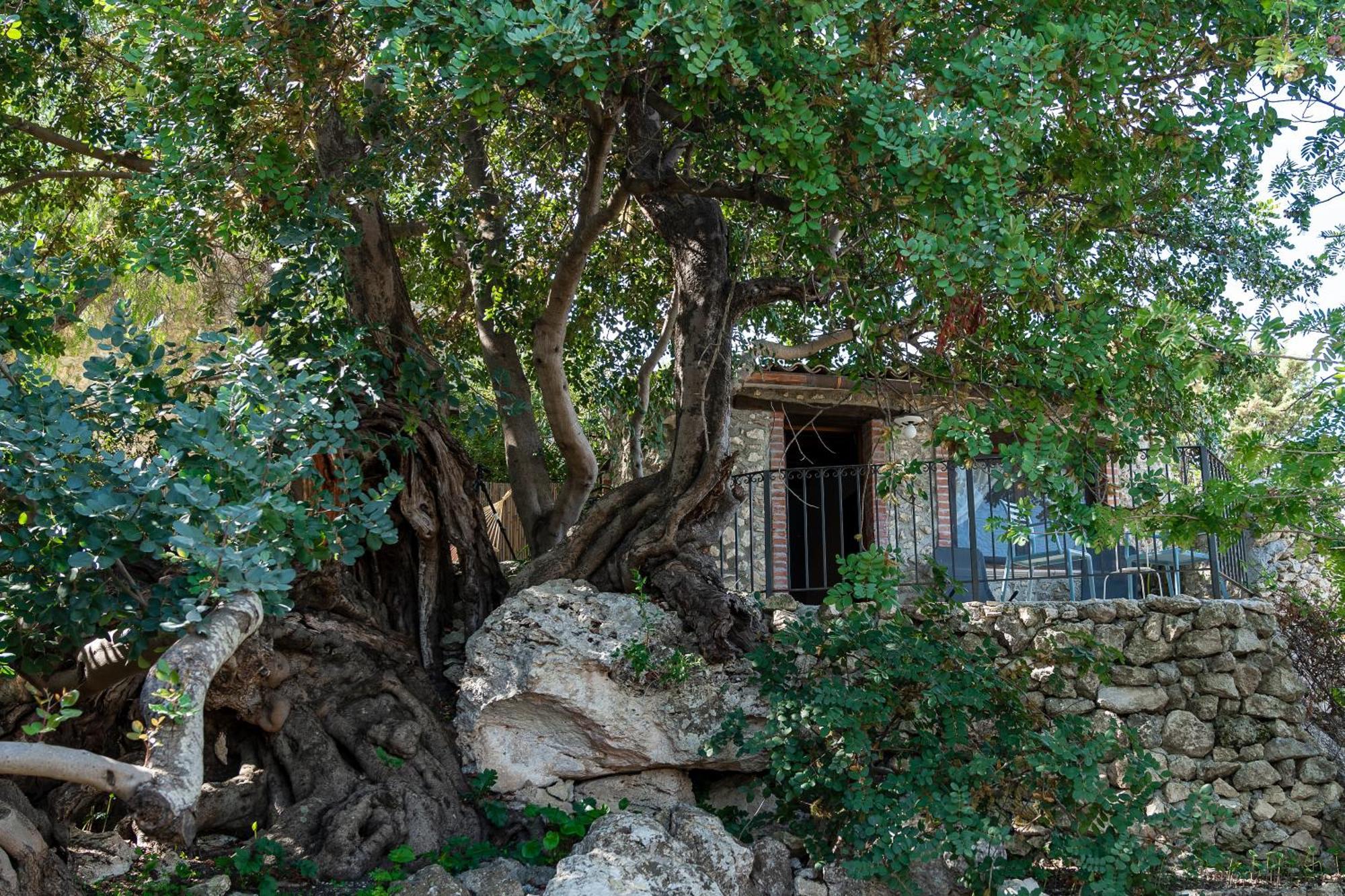 Roba Degli Ulivi Agrigento