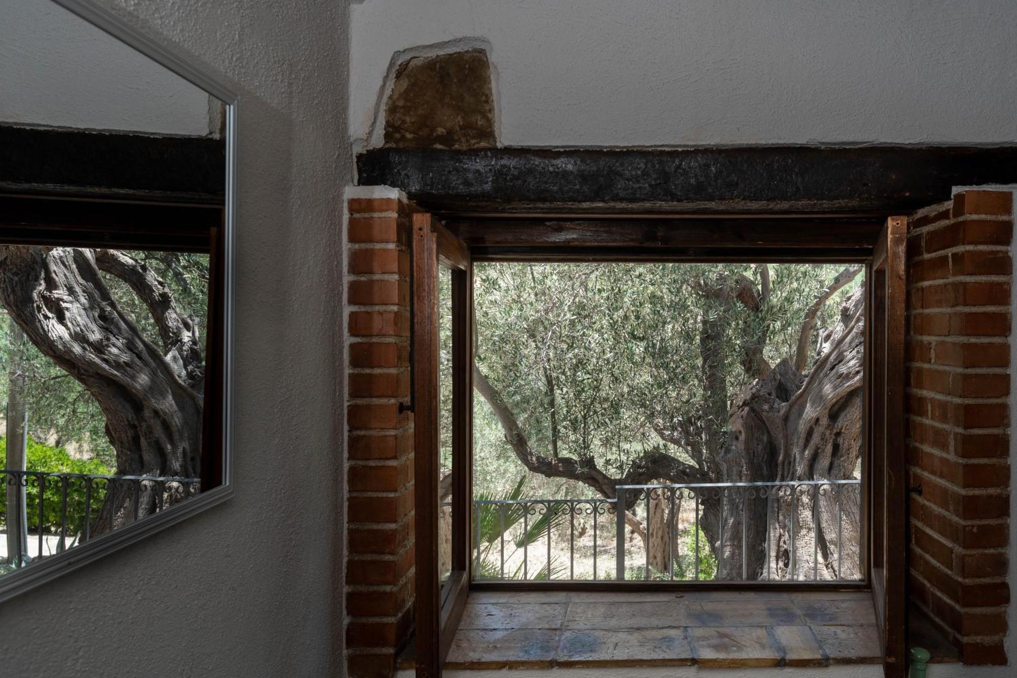 Roba Degli Ulivi Bed & Breakfast Agrigento