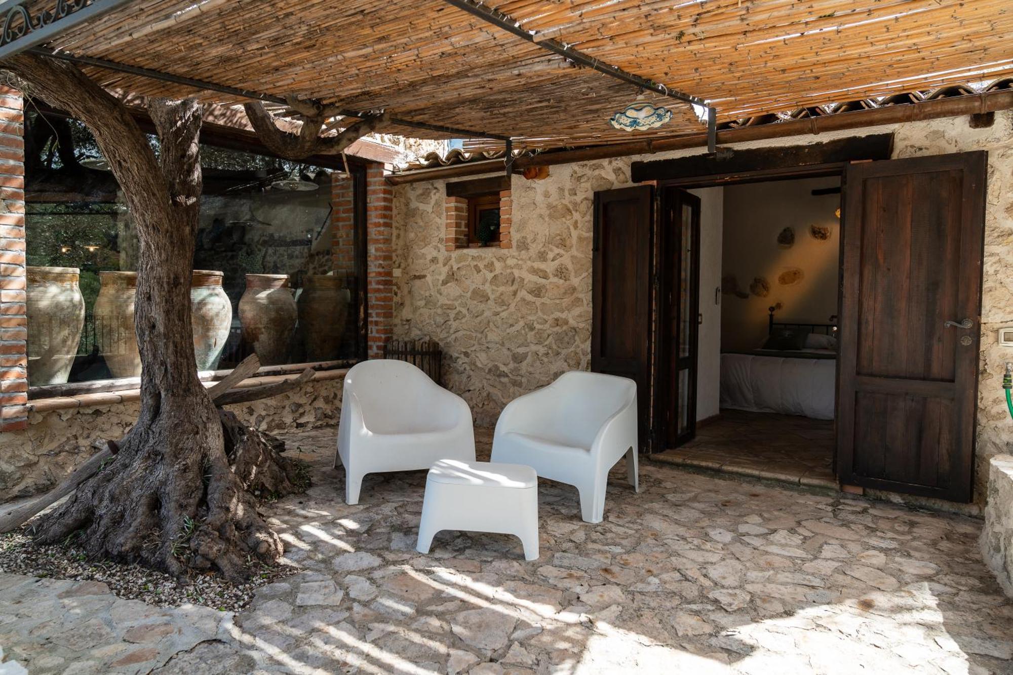 Roba Degli Ulivi